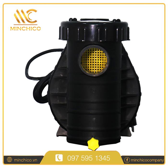 Máy bơm bể bơi Procopi Aqua Plus