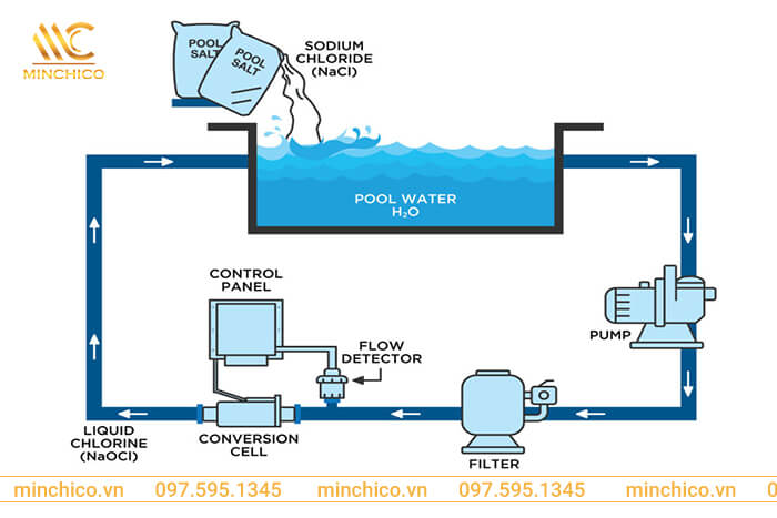 Hồ bơi nước mặn Hồ bơi nước mặn