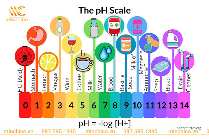 Cách tính độ pH của dung dịch axit và bazo mạnh là gì?