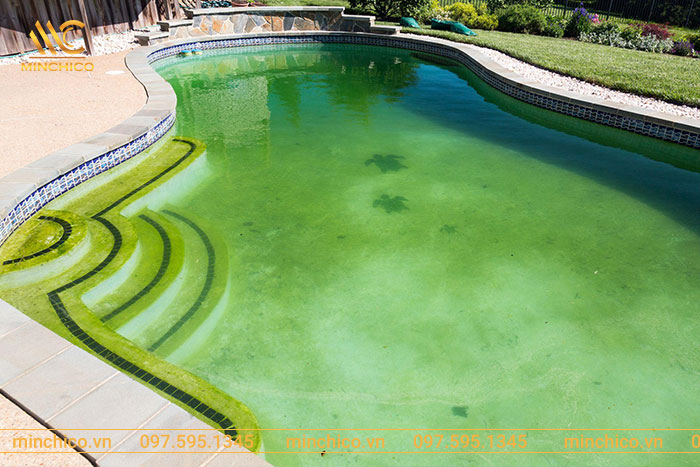 Tại sao nước bể bơi có màu xanh lá cây đục, không trong? Tại sao nước bể bơi có màu xanh lá cây đục, không trong?